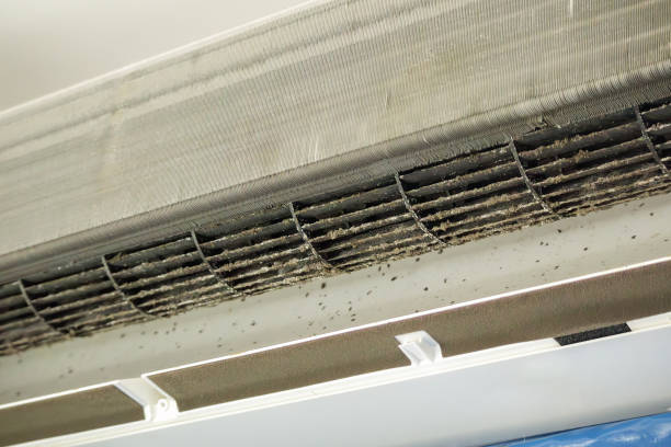Best Affordable HVAC Duct Cleaning  in Boonville, MO